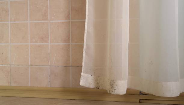 Best Air Quality Testing for Mold Spores  in Golden Triangle, NJ