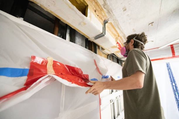 Best Mold Remediation for Healthcare Facilities  in Golden Triangle, NJ