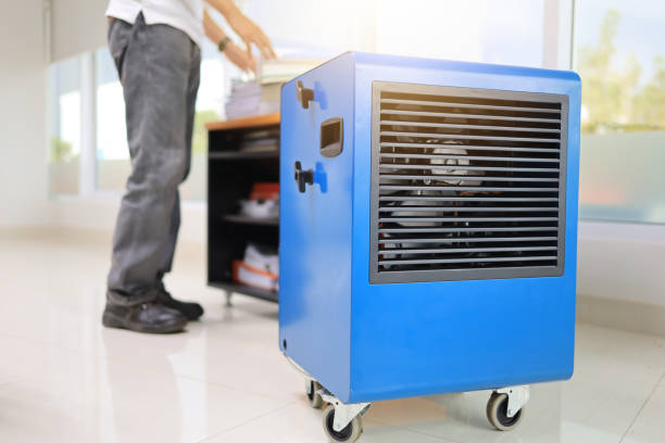 Best Emergency Mold Remediation  in Golden Triangle, NJ