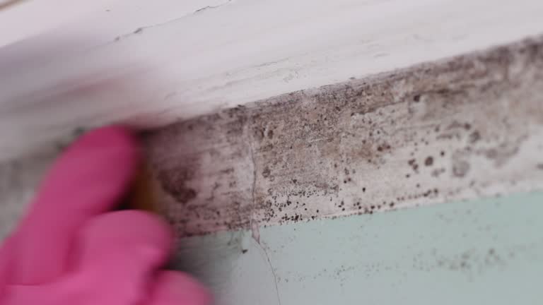Best Post-Construction Mold Inspection  in Golden Triangle, NJ